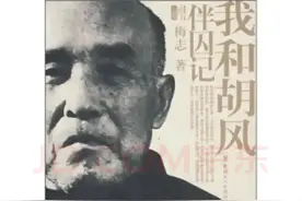 淘书记忆：关于胡风图片