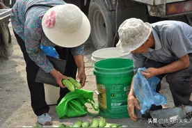 乡村大爷市场上卖黄瓜，便衣“警察”为老人追回半天收入，看啥样图片