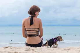 汪星人（狗狗）的常见病有哪些 犬类疾病和生病前兆及寄生虫等图片