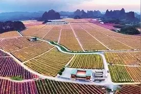 南宁市脱贫攻坚取得决定性胜利！图片