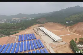 鑫源祥木业：赶订单 忙招工 企业生产红火图片