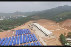 鑫源祥木业：赶订单 忙招工 企业生产红火图片