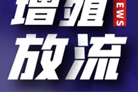 全人工繁育小黄鱼在舟山大规模放流图片