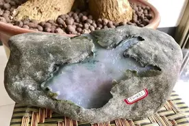 又得到上帝眷顾的老夫妇，赌石开出冰春飘花手镯，乐掉了牙！图片