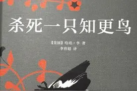 浅析《杀死一只知更鸟》中“知更鸟”的象征性意义指代图片