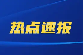 “庄河徐家”的覆灭：曾巧取豪夺掌控上百亿资产图片