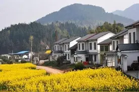 2020年宅基地可以自由买卖了？购买农村自建房要注意什么？图片