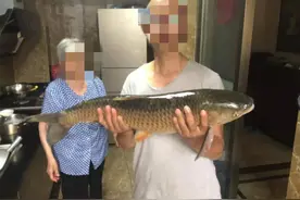 【今日故事】“健身狂人”的抗帕之路图片