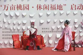 徐村开启“茂腔演出时间”，乡亲观演出游客把美景看，醉在桃花源图片