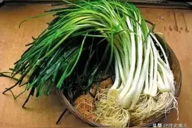 清明节习俗！太重要了，一定要知道！图片