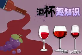 动静有数丨喝葡萄酒，杯子你用对了吗？图片