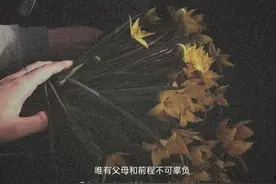 壁纸丨唯有父母和前程不可辜负图片