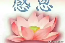 母亲节，感恩母亲诗一首（愿天下母亲平安快乐）图片