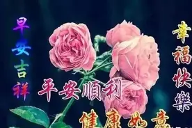 友不言挚爱，友情谊深心心相连，祝朋友：身体健康事业旺，早安图片