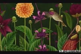 三分钟讲述《花的生命旅程》：看花开花落，品生命力量图片