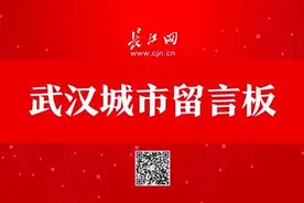 长江新区武湖片区规划有多所中小学，还有一批学校建设问题有回复了图片