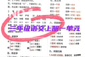 三上语文3＊《不懂就要问》及单元总结图片
