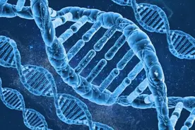 一个未知的DNA！研究称人类祖先曾与神秘生物杂交，会是谁？图片