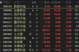 中国芯片新篇（二）：跨越式进击，第三代半导体图片