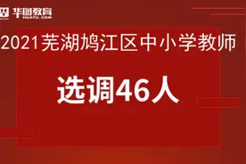 芜湖鸠江区中小学教师选调46人！好机会图片