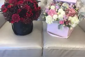 花盒这么漂亮，看到就想要！图片