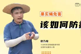 果实蝇爆发期来临，谨防采前落果，欧乃榕教你诱杀好方法图片