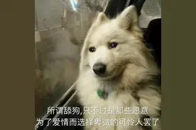 土豪为美女主播刷200W只换来“你是好人”，外加一幅画和一首歌？图片