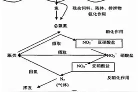 还在为亚硝酸盐头疼吗？史上最全亚硝酸盐解决方法，建议收藏图片