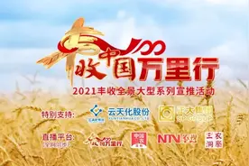 科技实现柑橘飘香，人才促进乡村振兴——丰收中国万里行走进四川图片