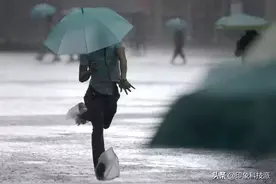 1秒开合的高碳钢伞骨，不怕8级大风，反向设计只要68图片
