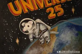 25号宇宙实验：用老鼠模拟人类发展1780天，结局难以接受图片