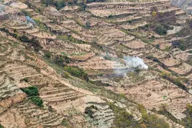突然发现陇南一山村秘密，外表很破，院内在变，一产业让村民得福图片