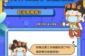 为什么做了核酸检测却没有报告？图片