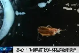 太恶心了！“周麻婆”饮料杯里有蟑螂，而且是连饮三杯后才发现图片