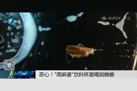太恶心了！“周麻婆”饮料杯里有蟑螂，而且是连饮三杯后才发现图片
