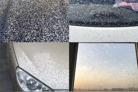 今年的雪糕口味已经进化到这种程度了吗？奇葩口味已经刷爆朋友圈图片