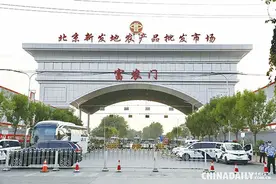 病毒到底从何而来？图片