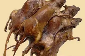 盘点那些奇奇怪怪的“美食”（一）图片