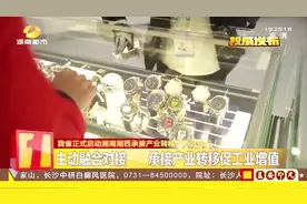 衡阳西渡高新园区，产业链聚集承接钟表企业落户视频封面