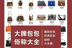 干货丨这些品牌包包的俗称，你知道几个呢？图片