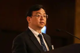 王传福：我就想给中国人争一口气图片