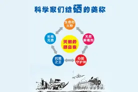 “硒”路漫漫图片