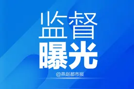 偷排偷放、无组织排放…石家庄通报七起环境违法典型案件图片