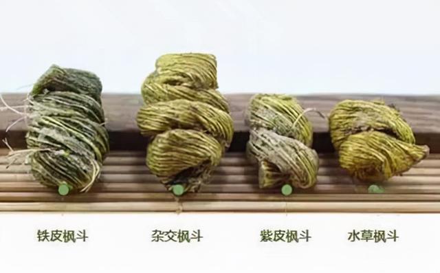 铁皮石斛怎么分辨真假 2026年铁皮石斛怎么分辨真假图片