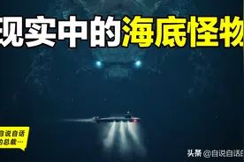 现实中的海底怪物：哥斯拉寓言背后的故事，海底怪物原来如此真实图片