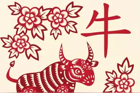 属相优越将来能“更胜一筹”？孩子是这5个生肖，妈妈不用太操心图片