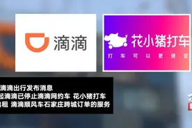 滴滴出行暂停石家庄市内运营 重启社区保障车队图片