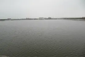 滦河入海口图片