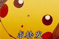 精选英语四级单词，干货！建议收藏图片