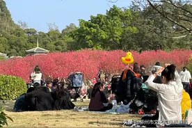 253.13万人次！15.71亿元！我市春节文化旅游市场牛力十足！图片